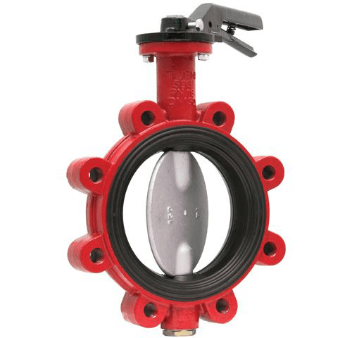 Duyar Dn100 Lug Paslanmaz Kelebek Vana V T-1030