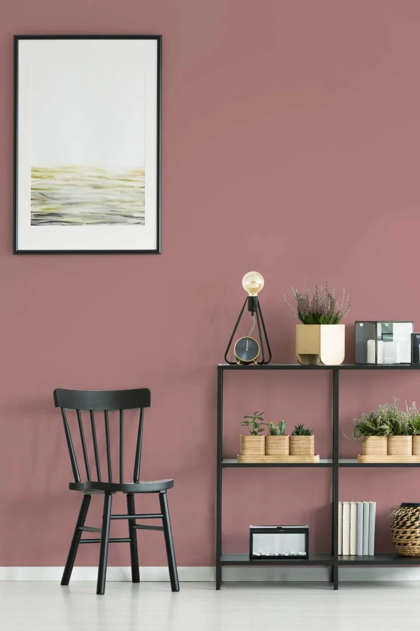 Duvar Boyası Psidia (Wall Art Paint)