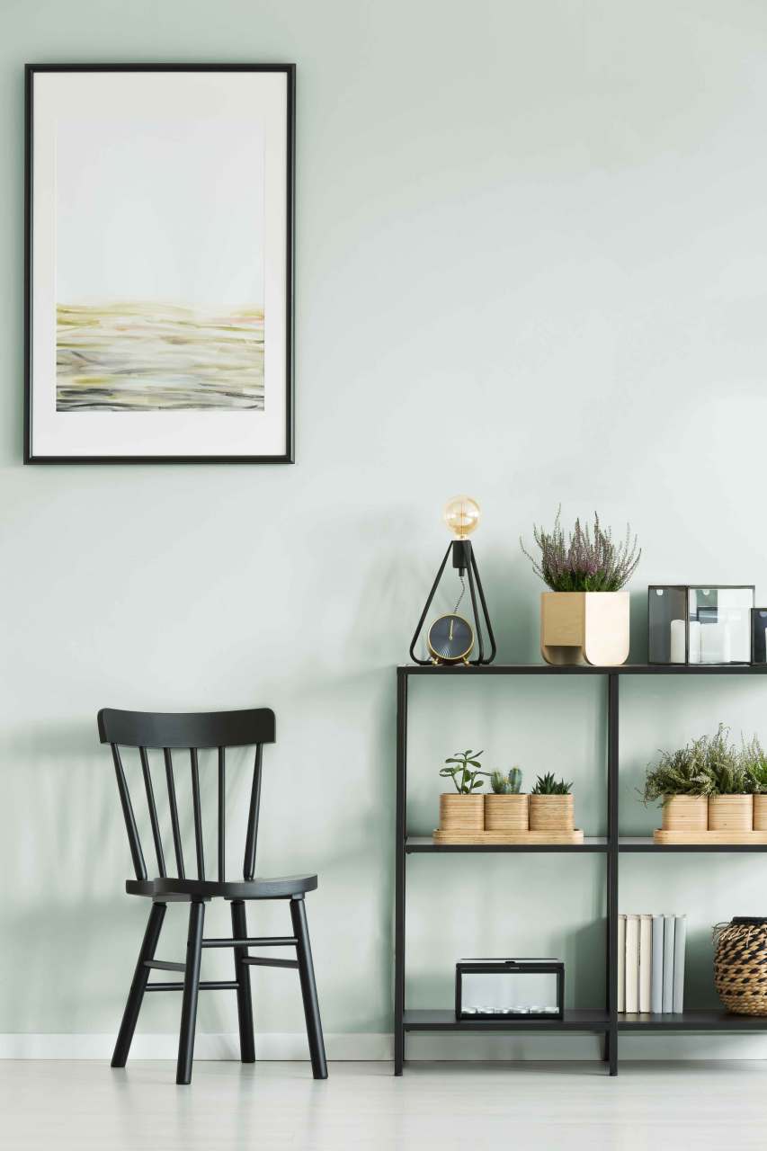 Duvar Boyası Asi (Wall Art Paint)