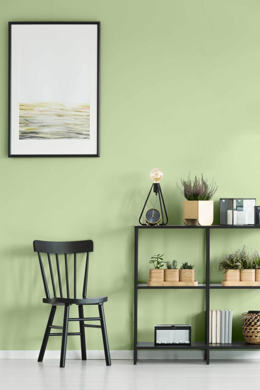 Duvar Boyası Meriç (Wall Art Paint)