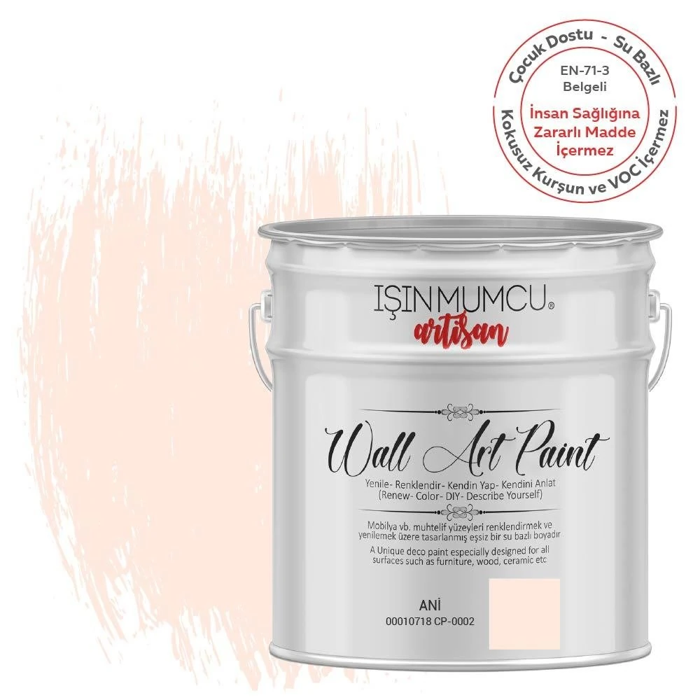 Duvar Boyası Ani (Wall Art Paint)