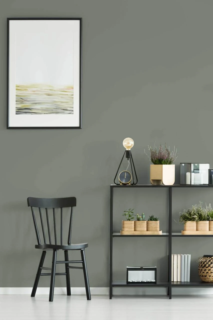 Duvar Boyası Aras (Wall Art Paint)