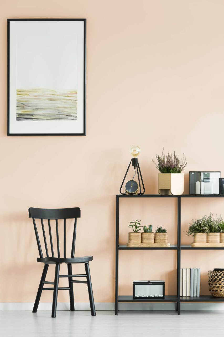 Duvar Boyası Ani (Wall Art Paint)