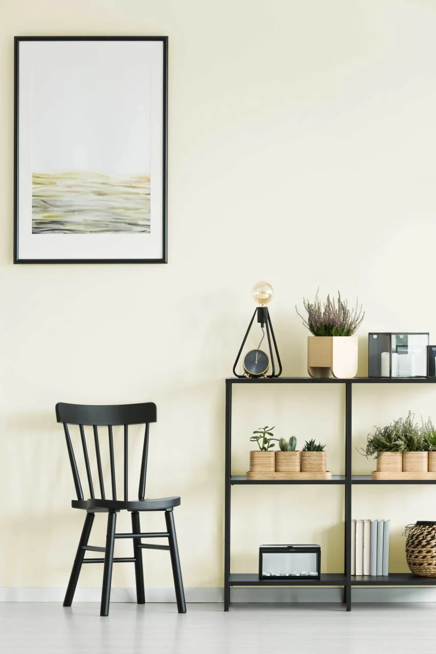 Duvar Boyası Phaselis (Wall Art Paint)