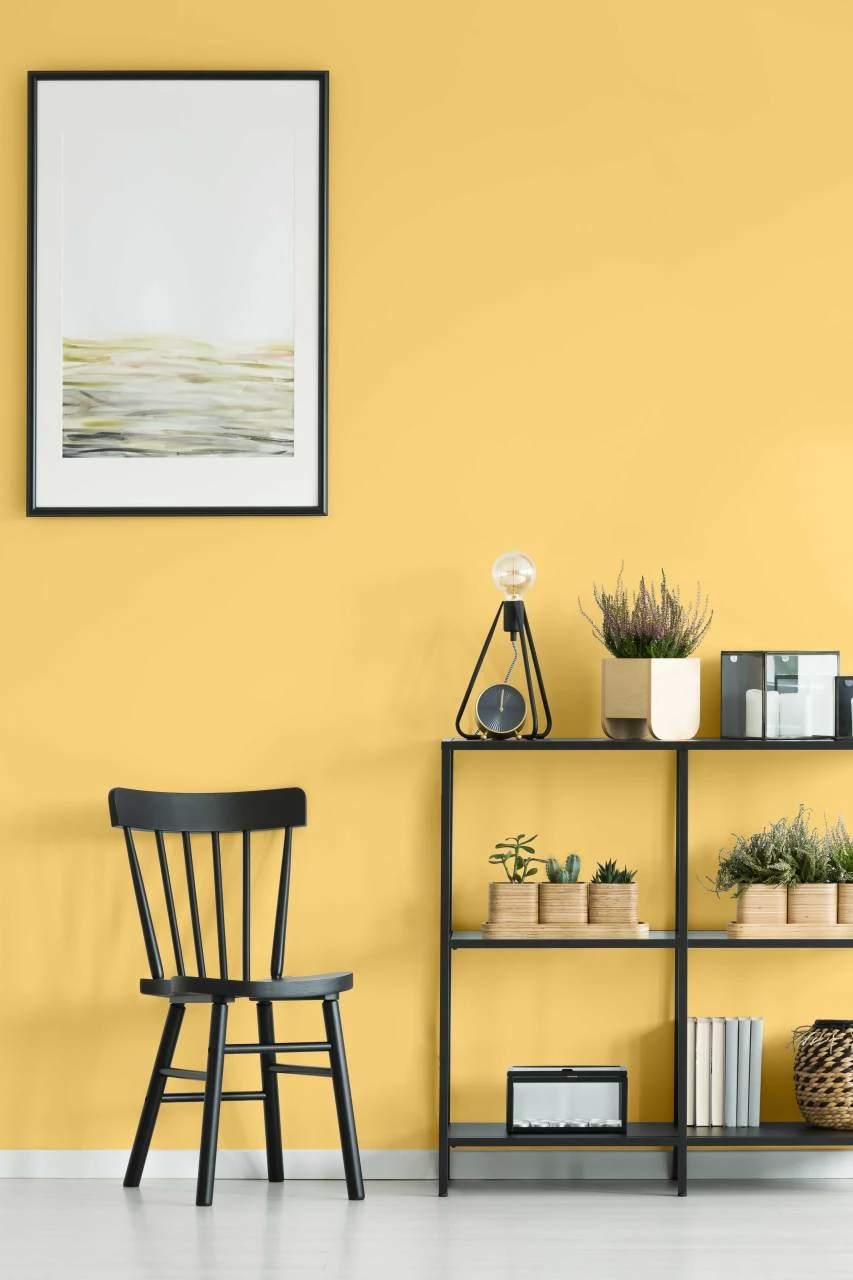 Duvar Boyası Zeugma (Wall Art Paint)