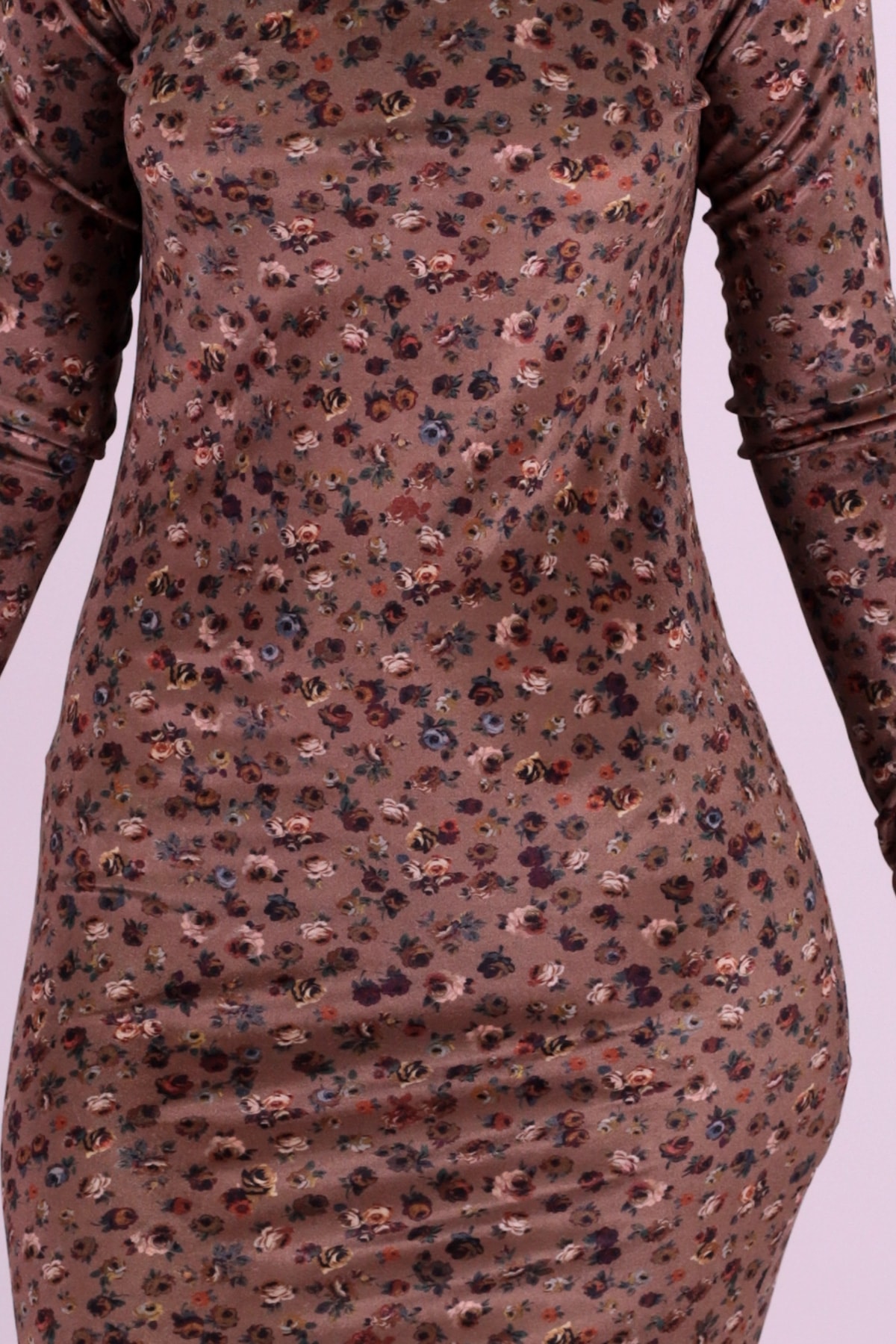 Kadın Vizon Çiçekli Kadife Elbise ARM-26K136052