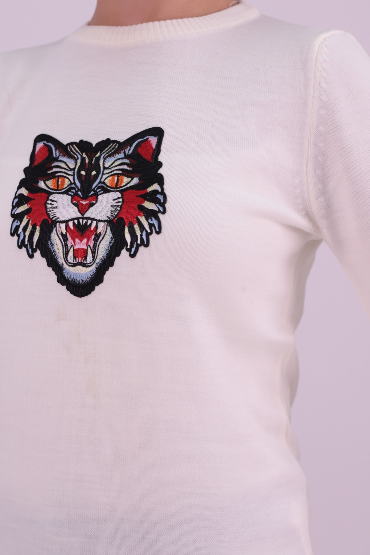 Kadın Ekru Bisiklet Yaka Aplikeli Kazak ARM-26K136002