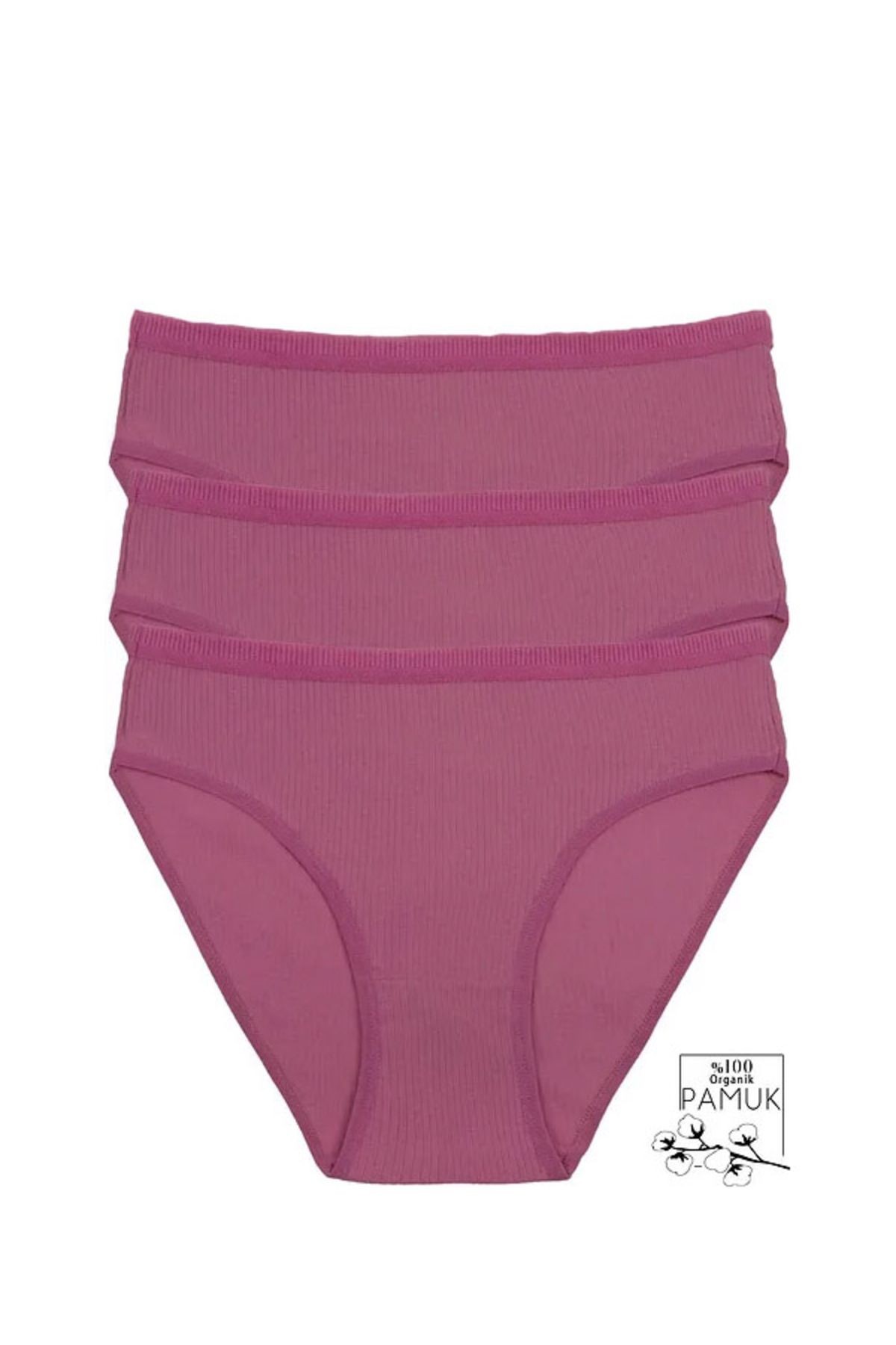 Kadın Gül Kurusu Pamuklu Likralı Bikini Külot 3'Lü Paket