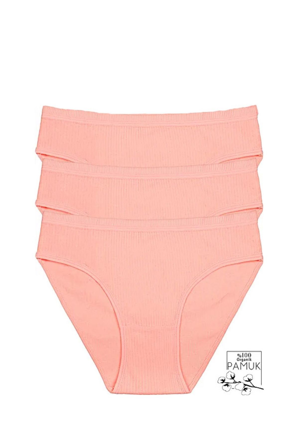 Kadın Yavruağzı Pamuklu Likralı Bikini Külot 3'Lü Paket