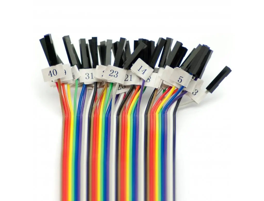 Raspberry Pi Etiketli GPIO Kablosu Dişi
