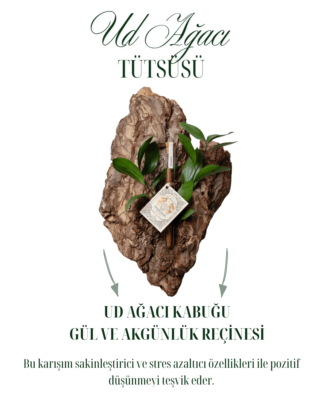 UD AĞACI TÜTSÜSÜ