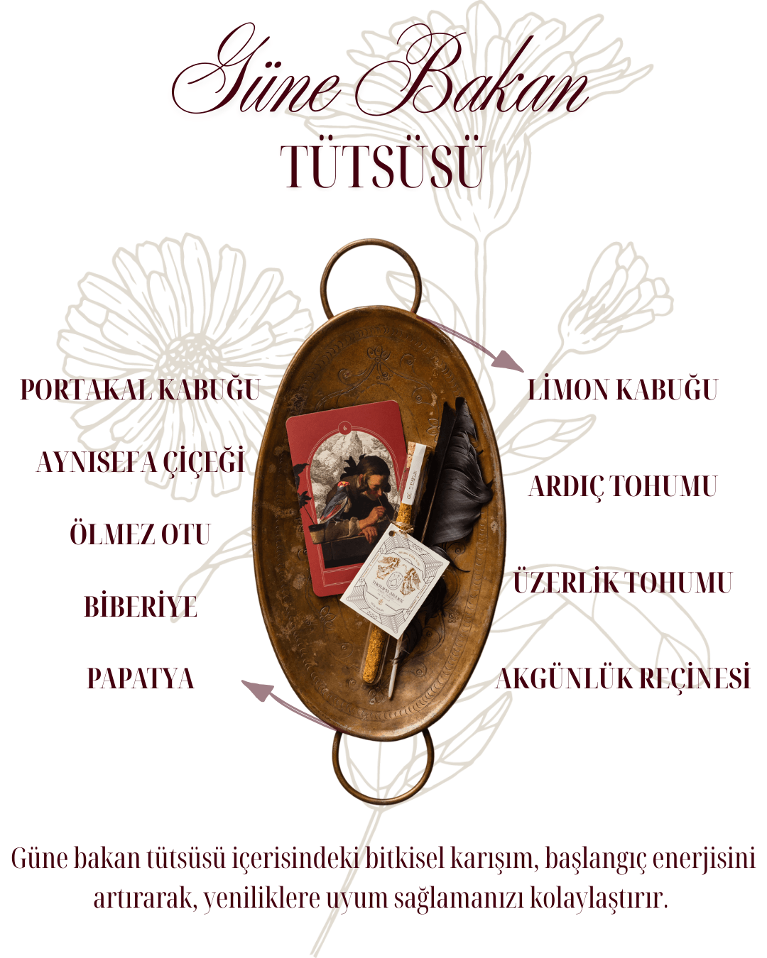 GÜNE BAKAN TÜTSÜSÜ