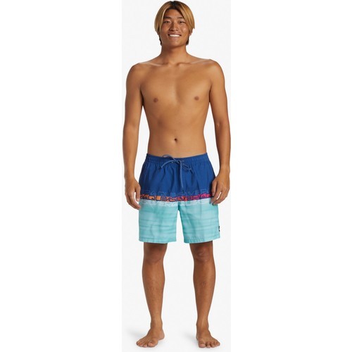 Quiksilver Everyday Erkek Deniz Şortu