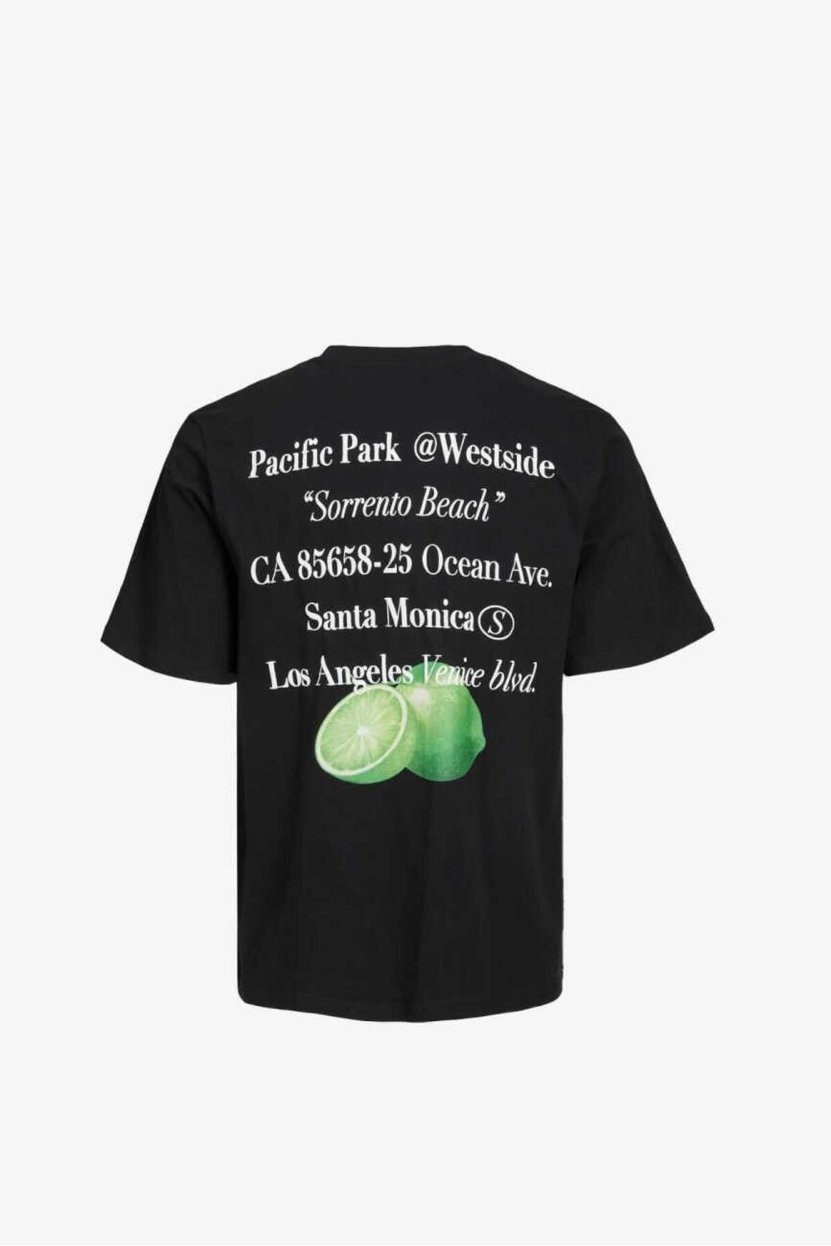 JACK&JONES Jorgrocery Tee Ss Crew Neck