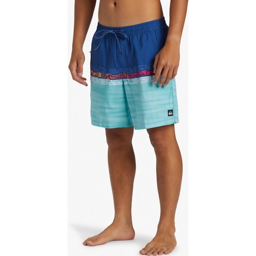 Quiksilver Everyday Erkek Deniz Şortu