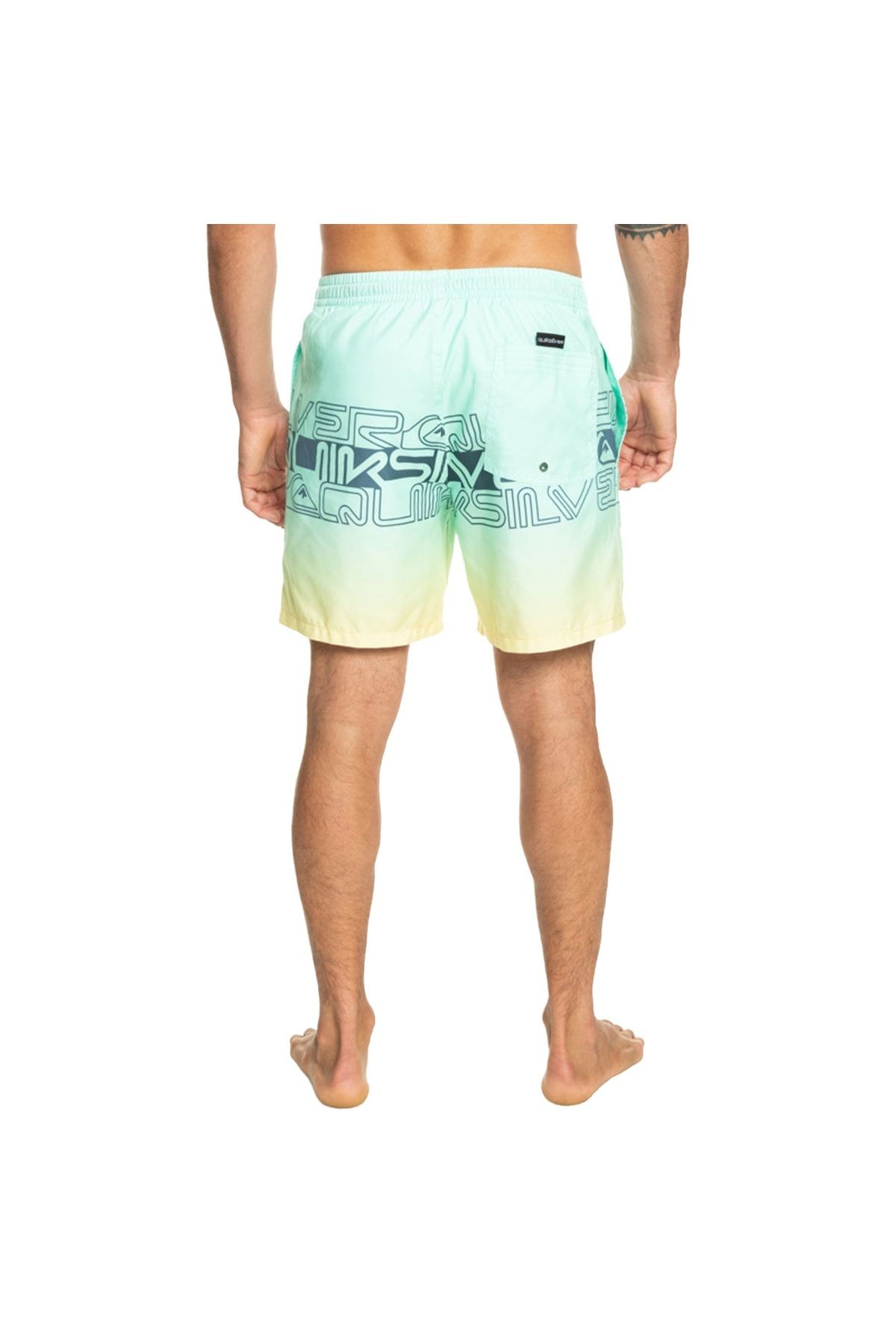Quiksilver Wordblock 17 Erkek Volley Short EQYJV04005