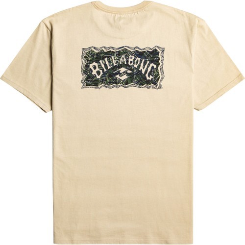 Billabong A/div Arch Erkek T-Shirt
