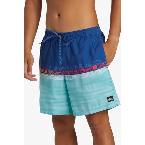 Quiksilver Everyday Erkek Deniz Şortu