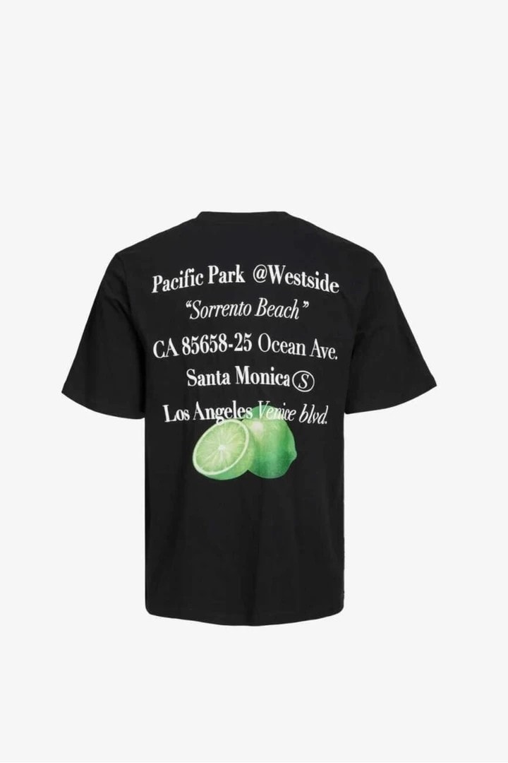 JACK&JONES Jorgrocery Tee Ss Crew Neck