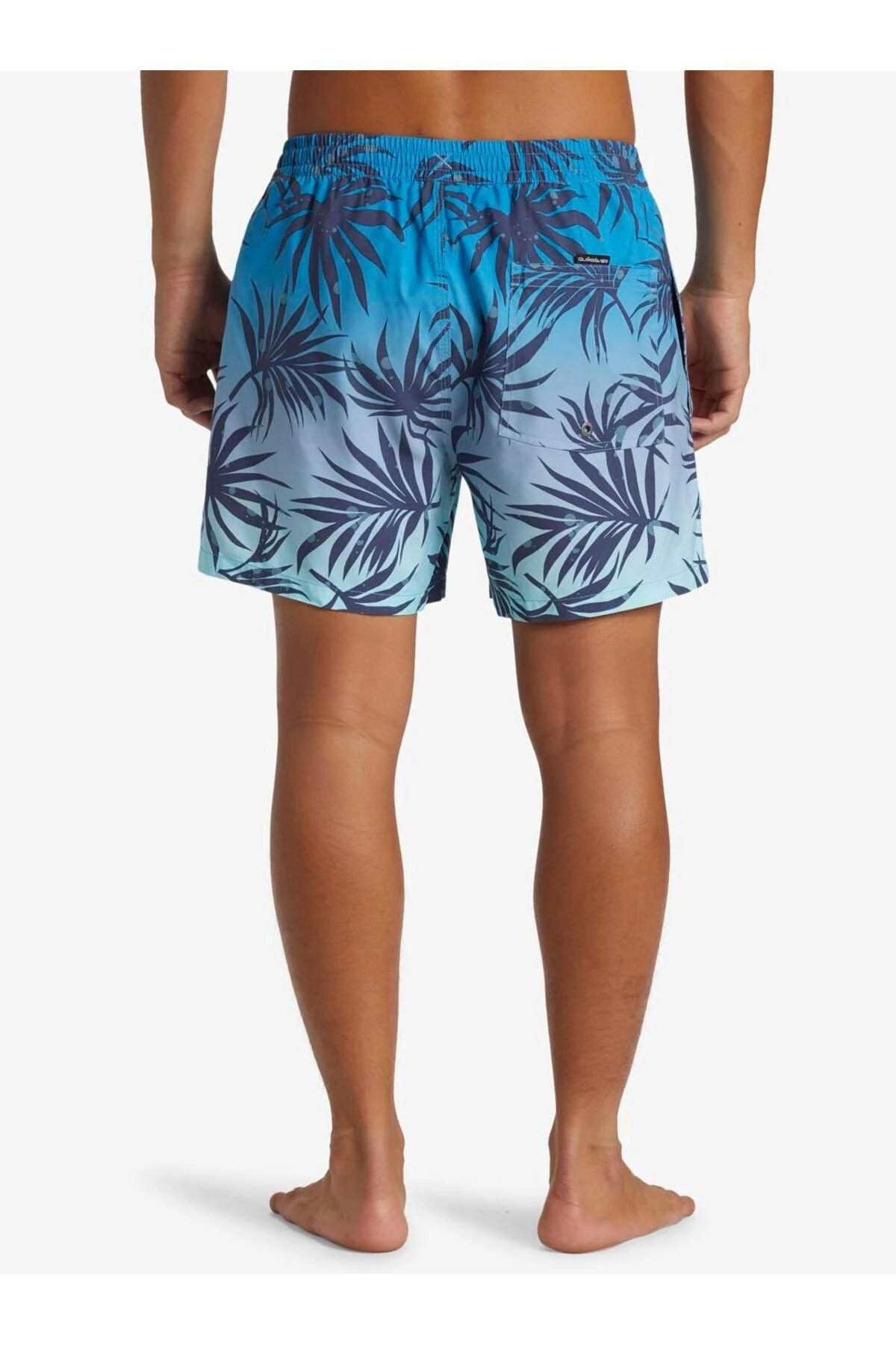 Quiksilver Everyday Mix Volley 15 Erkek Deniz Şortu