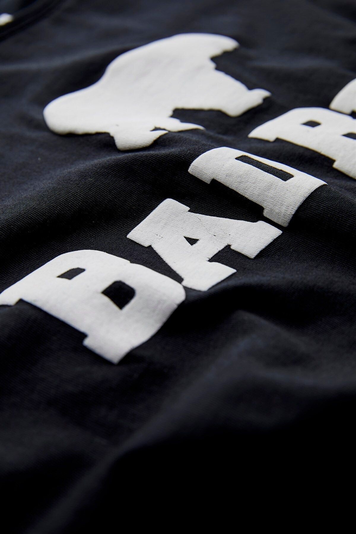 Bad Bear 19.01.07.002-c01 Tee Erkek T-shirt