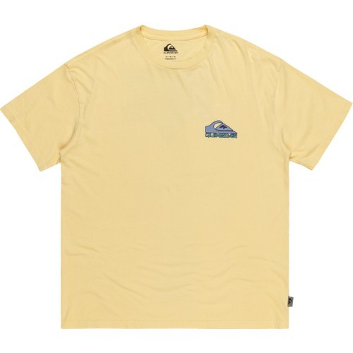 Quiksilver Take Us Back Logo Erkek Tişört EQYZT07654-16884