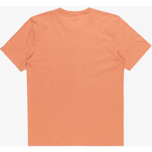 QUIKSILVER Comp Logo SS EQYZT07658-MJR0 ERKEK Kahverengi Tişört