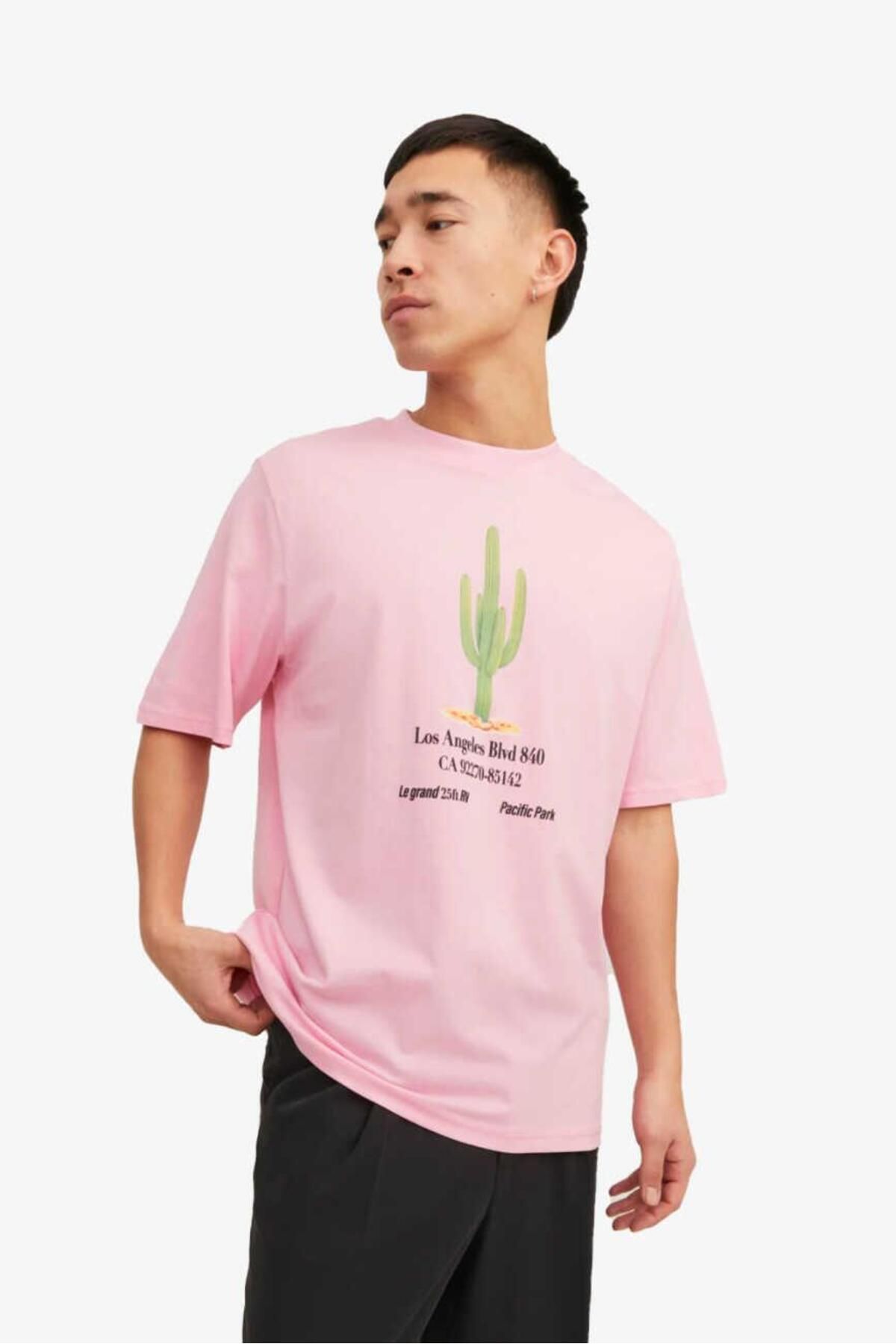 JACK&JONES Jorgrocery Tee Ss Crew Neck