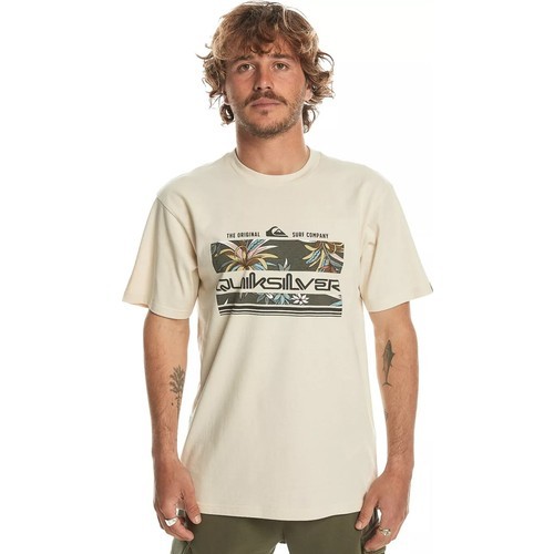 Quiksilver Tropical Rainbow Erkek Tişört 