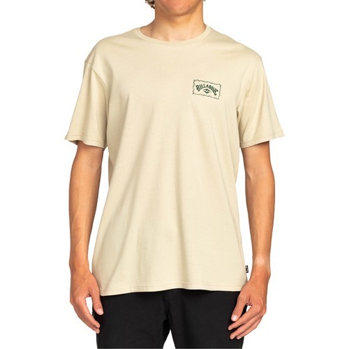 Billabong A/div Arch Erkek T-Shirt