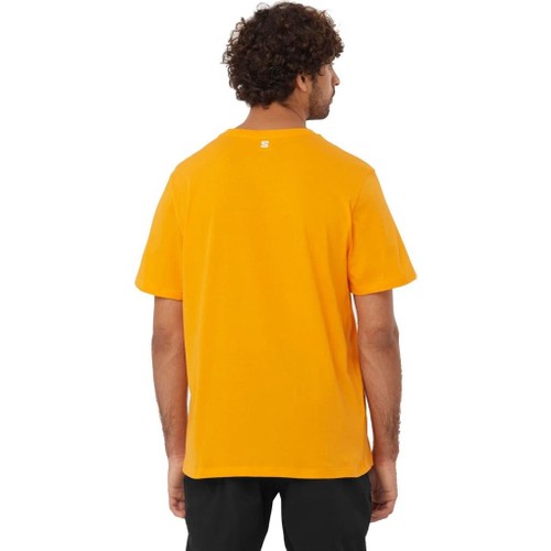 Salomon Graphic Ss Tee Erkek T-Shirt