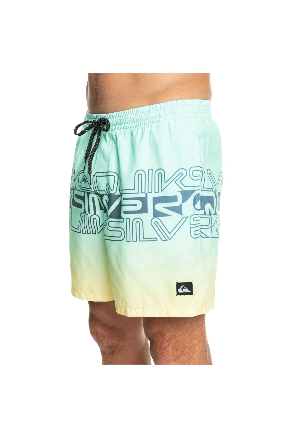 Quiksilver Wordblock 17 Erkek Volley Short EQYJV04005