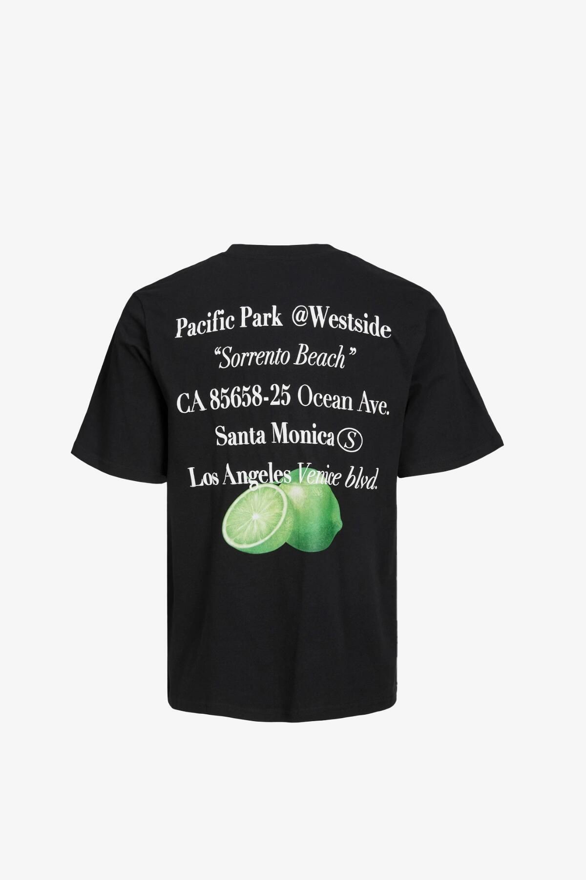 JACK&JONES Jorgrocery Tee Ss Crew Neck