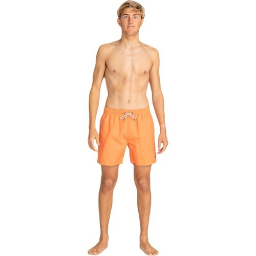 Billabong EBYJV00134 All Day Lb Erkek Şort Mayo