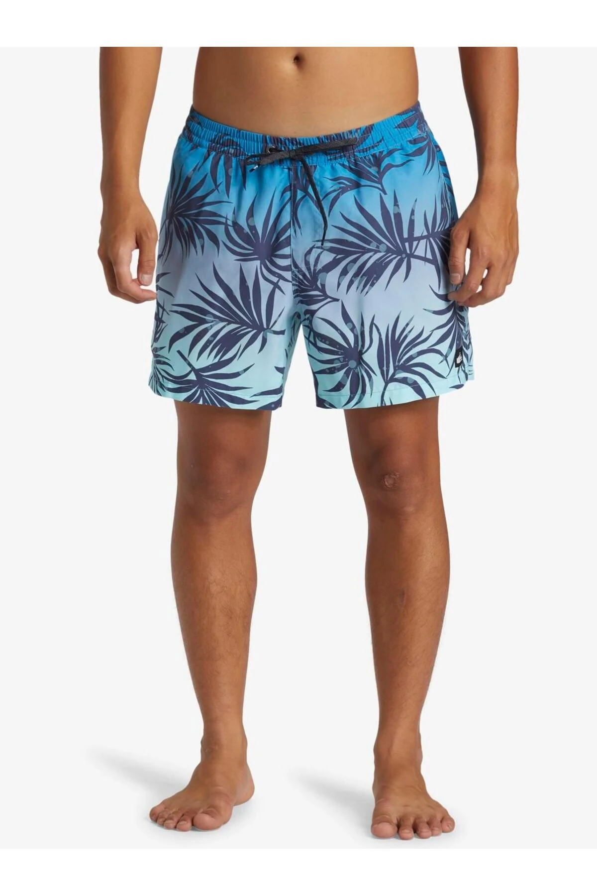 Quiksilver Everyday Mix Volley 15 Erkek Deniz Şortu