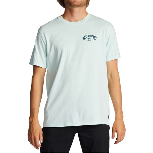 Billabong Arch Fill Erkek T-shirt ABYZT01696