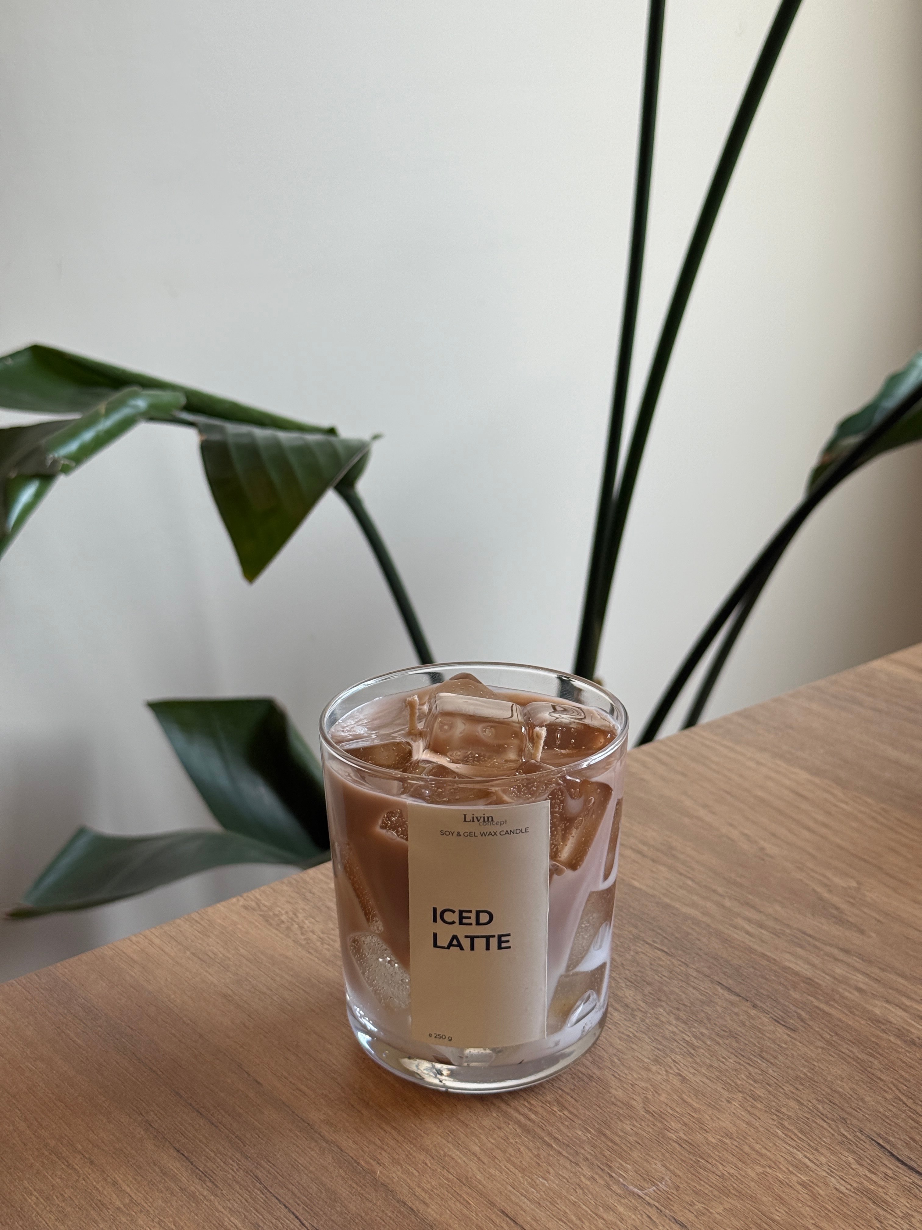 Iced Latte Jel&Soya Mum