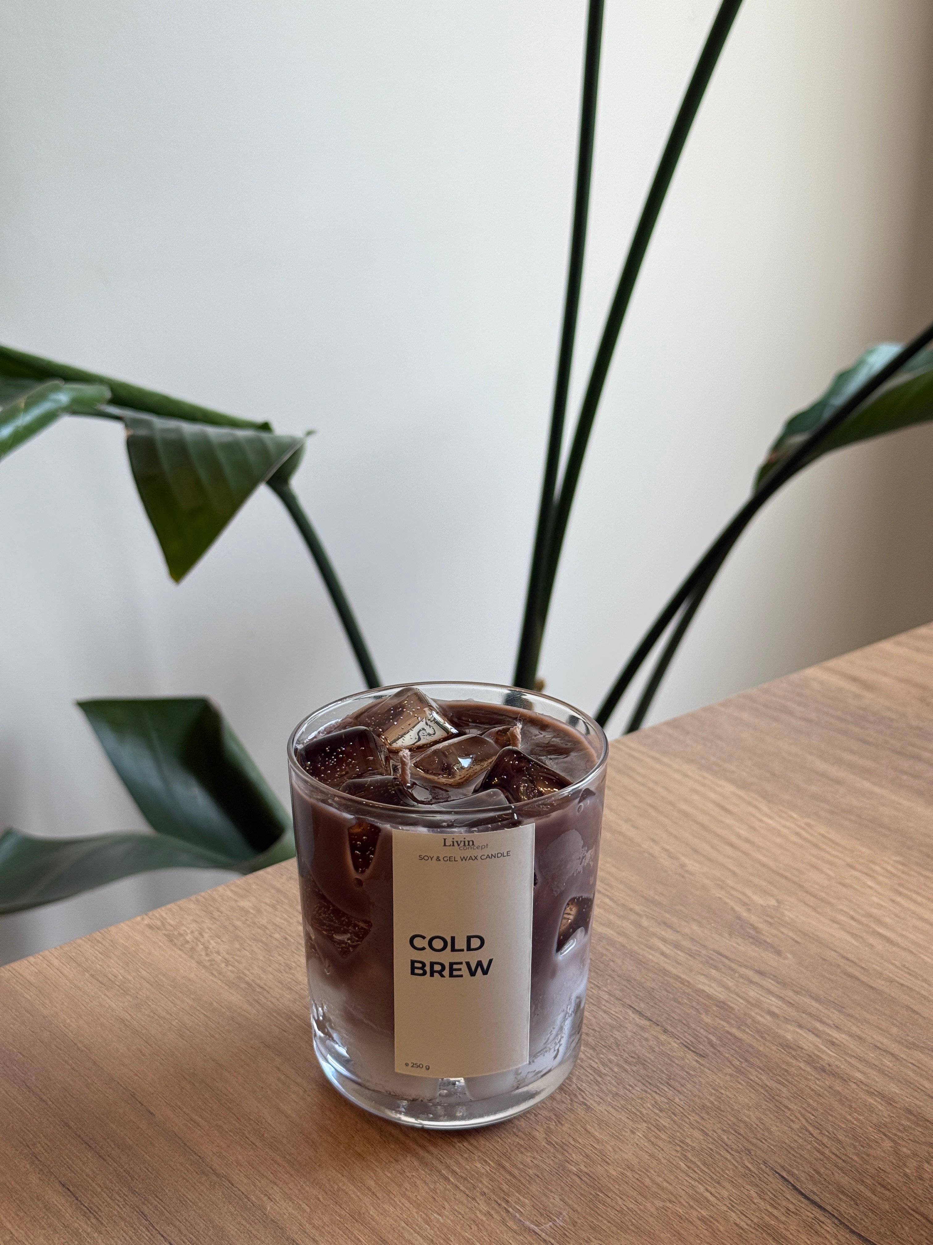 Cold Brew Jel&Soya Mum