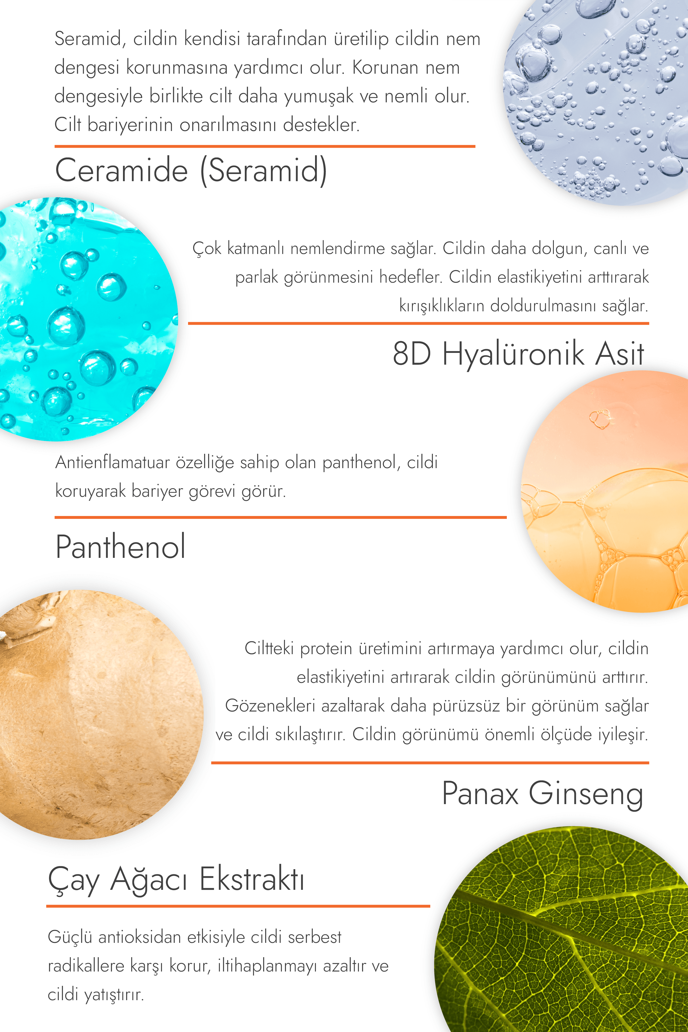 SPF 50+ Çok Fonksiyonlu Güneş Kremi, 50ml - Nemlendirici ve Bariyer Onarıcı, Yeni Nesil Filtre