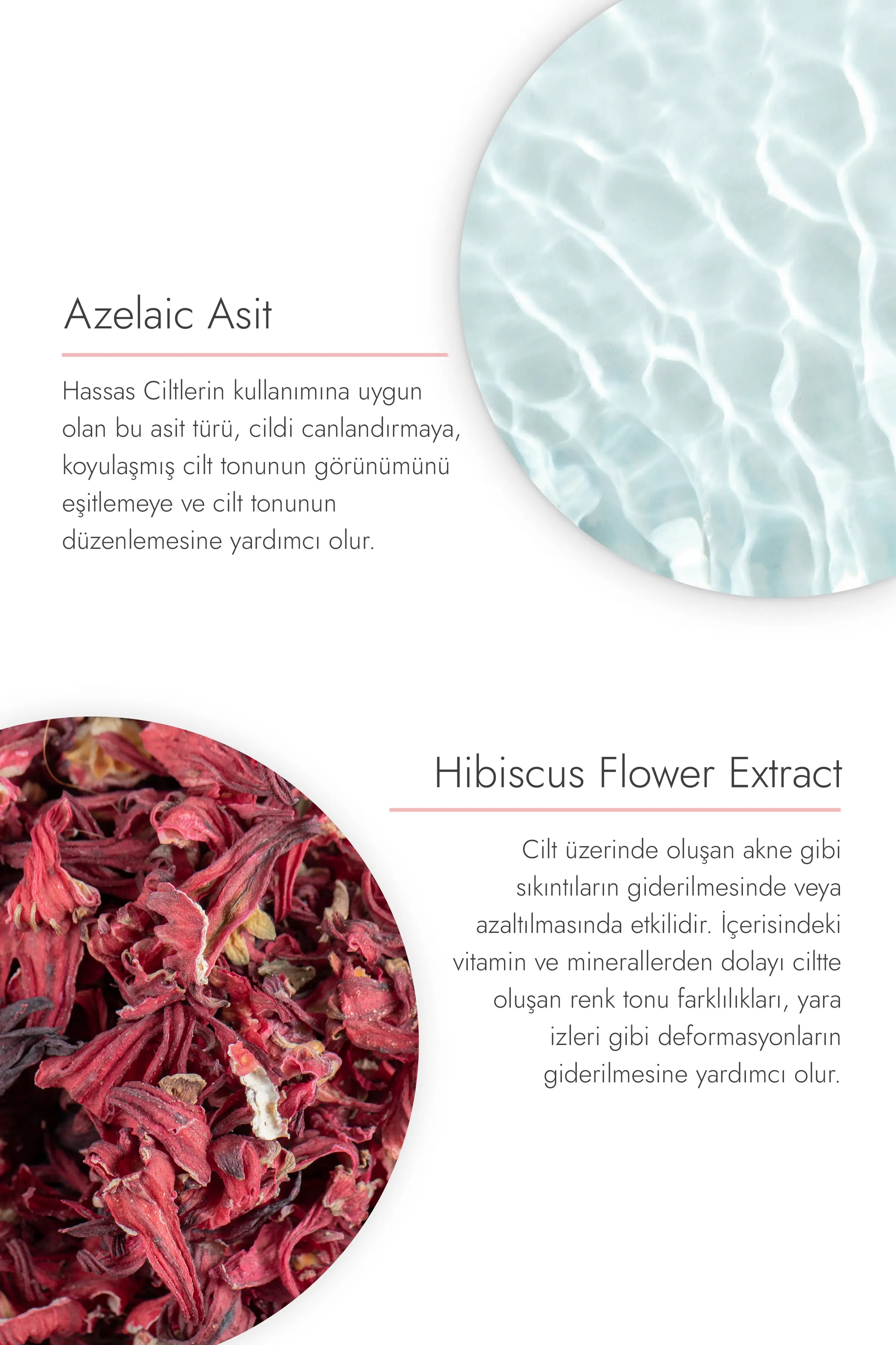 Hibiskus ve Enzim Toz Peeling, 55gr - Arındırıcı ve Aydınlatıcı