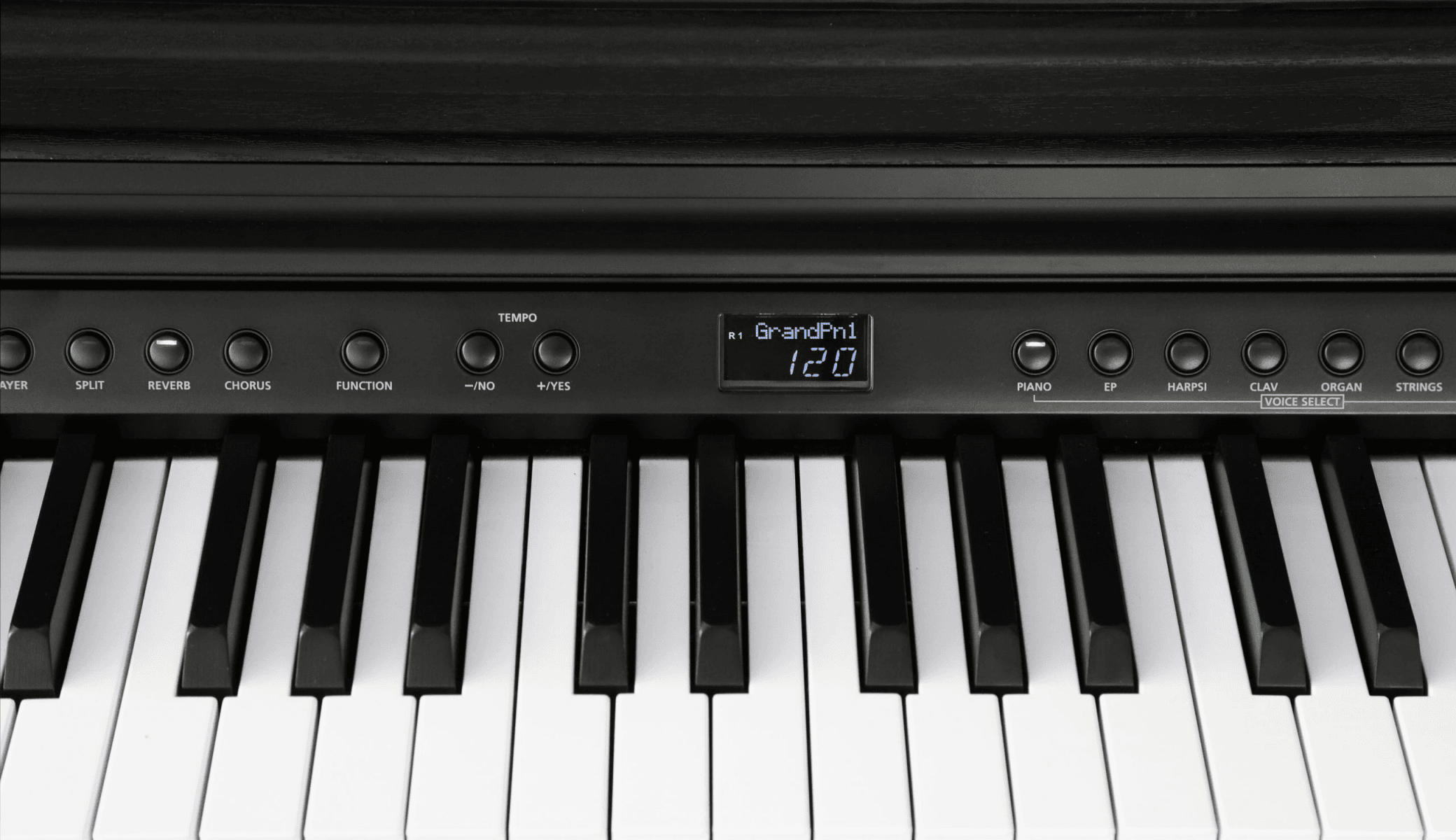 Kurzweil CUP E1 Dijital Piyano