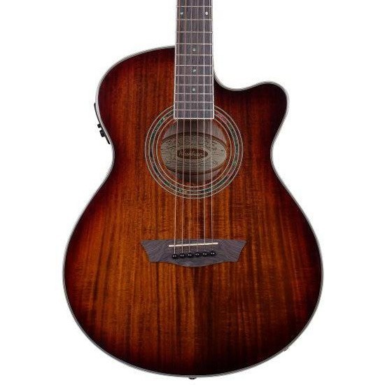  Washburn EA55G Festival Elektro Akustik Gitar % 8 İndirim