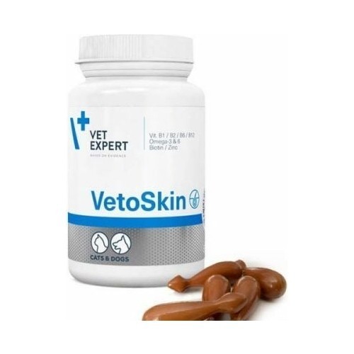 Vet Expert Vetoskin 90 Kapsül Köpek & Kedi Vitamin