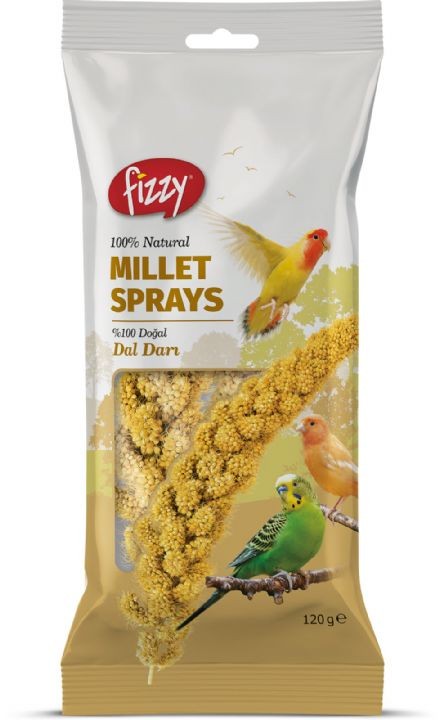 Fizzy Doğal Dal Darı 120gr