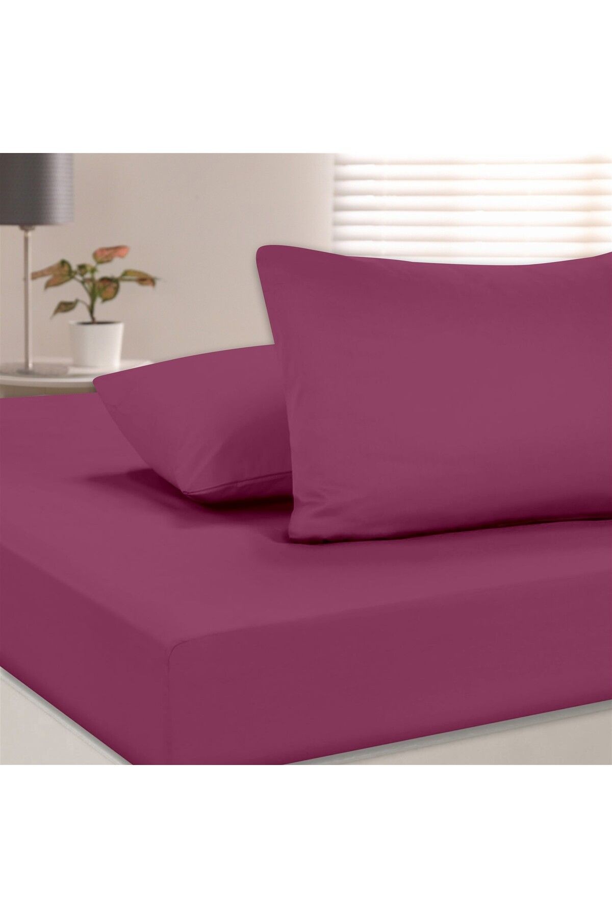 Organik Pamuk Akfil Düz Çarşaf Seti Çift Kişilik 240x260 cm - Şarabi̇