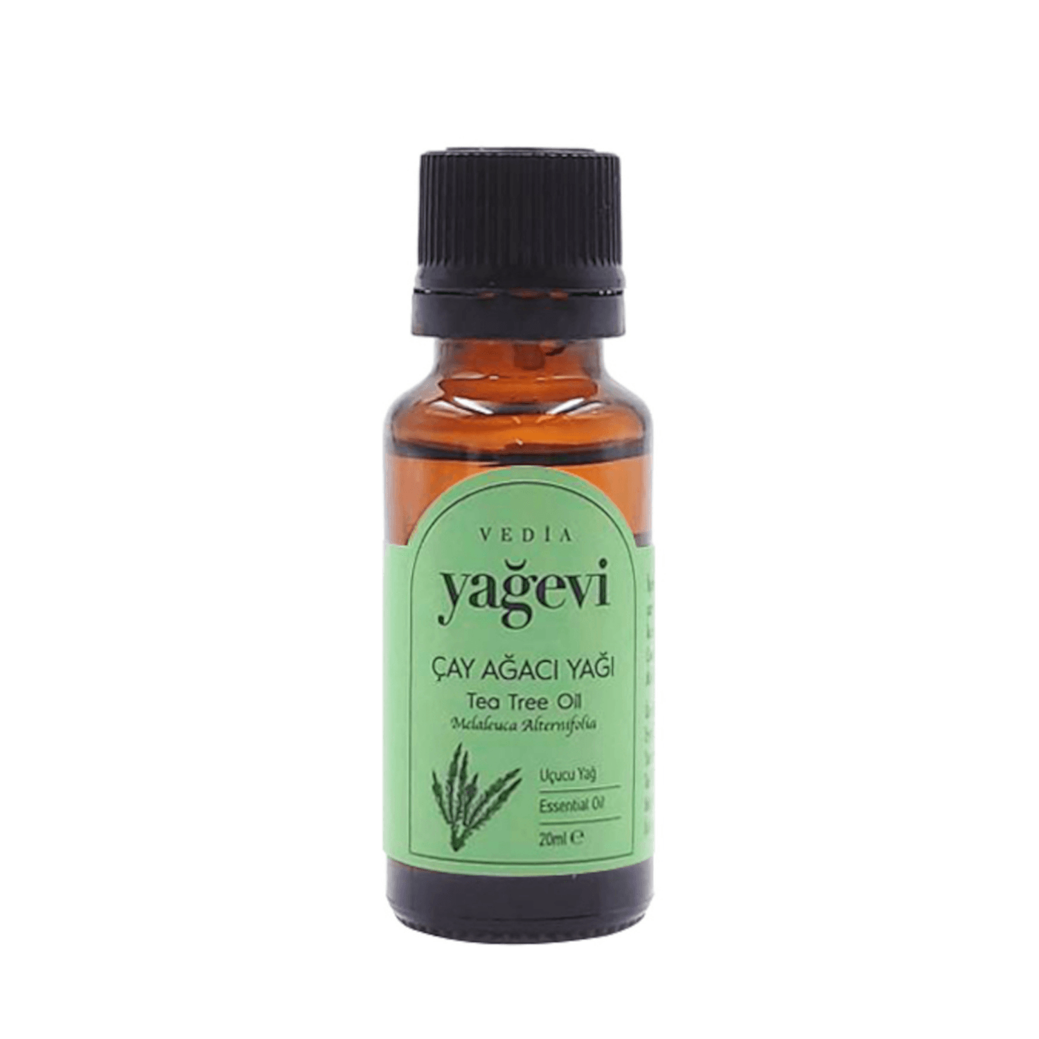 Çay Ağacı Yağı - Yağevi - 20ml