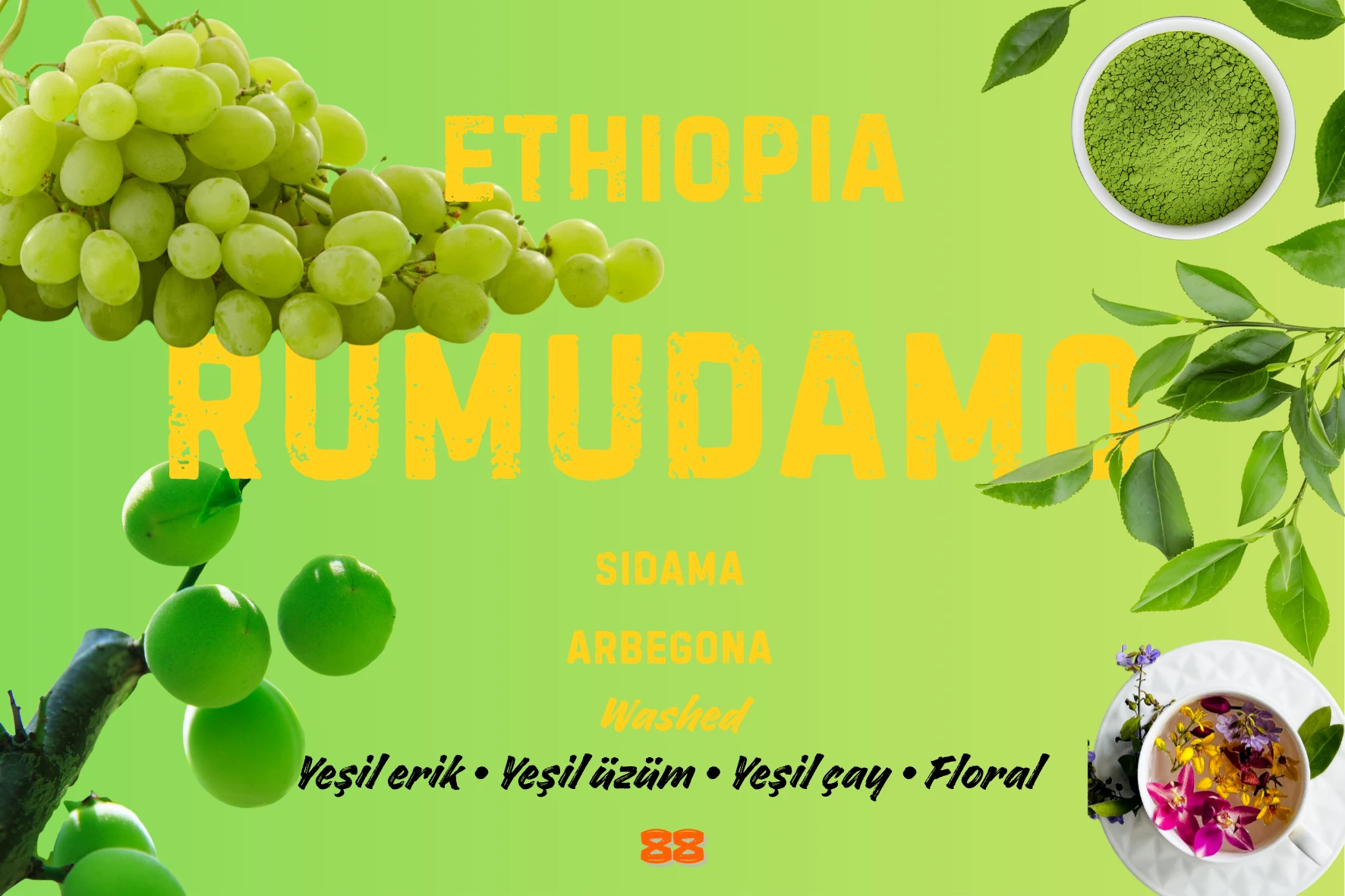 Ethiopia Rumudamo