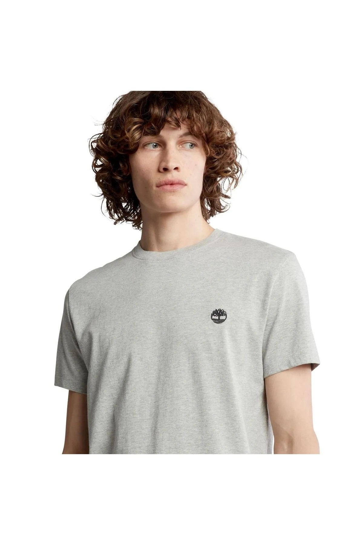 Timberland Dunstan River Erkek Kısa Kollu T-Shirt