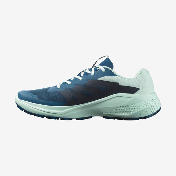 Salomon Alphaglide Erkek Koşu/Fitness Ayakkabı