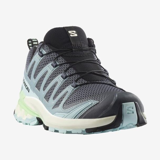 Salomon Xa Pro 3D V9 W Koşu Ayakkabısı